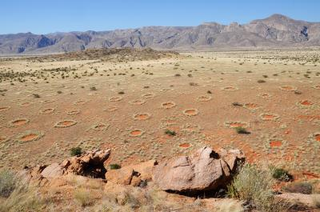 Illustration for article titled After 15 Years of Study, a New Theory of What Causes Fairy Circles